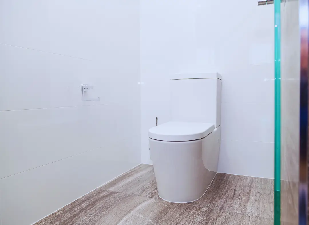 Remplacement de wc Scionzier