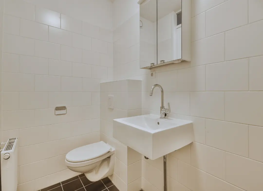 Pose WC Suspendu Scionzier